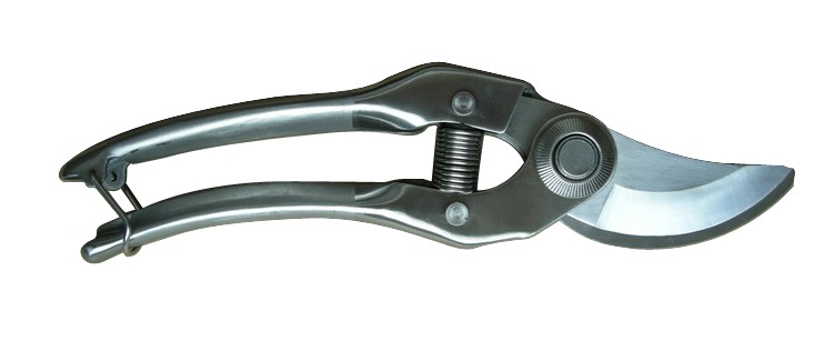 929
